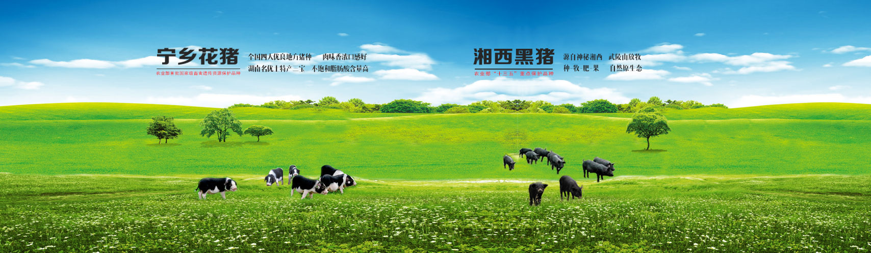 华体会hth体育登录